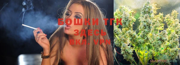 PSILOCYBIN Гусь-Хрустальный
