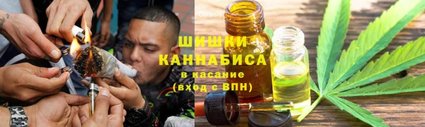 прущие грибы Усолье-Сибирское