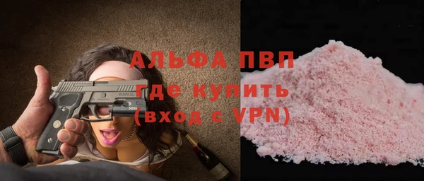 PSILOCYBIN Гусь-Хрустальный